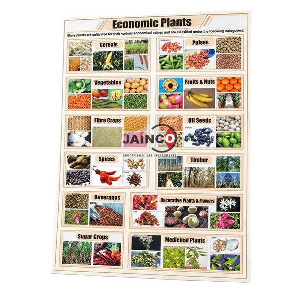 Economic Plants